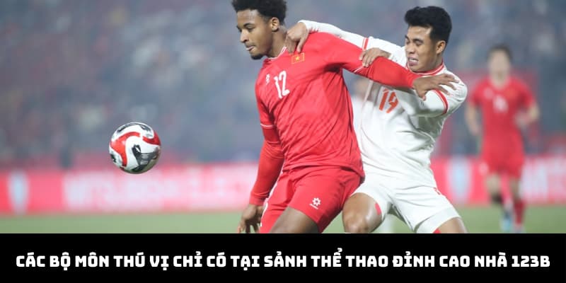 Các bộ môn thú vị chỉ có tại sảnh thể thao đỉnh cao nhà 123B